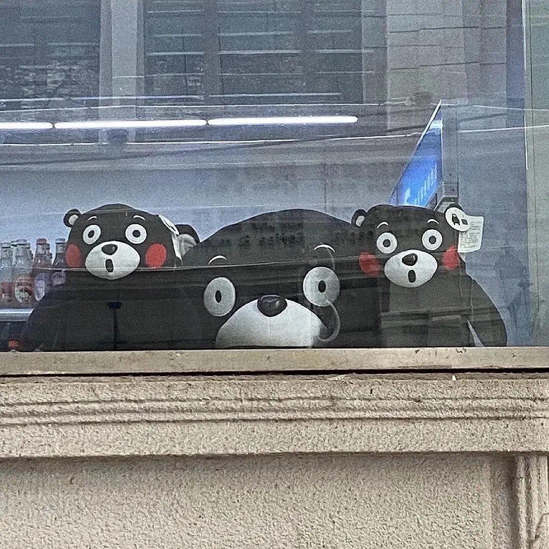 兔子