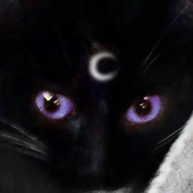 羊癫东🍼