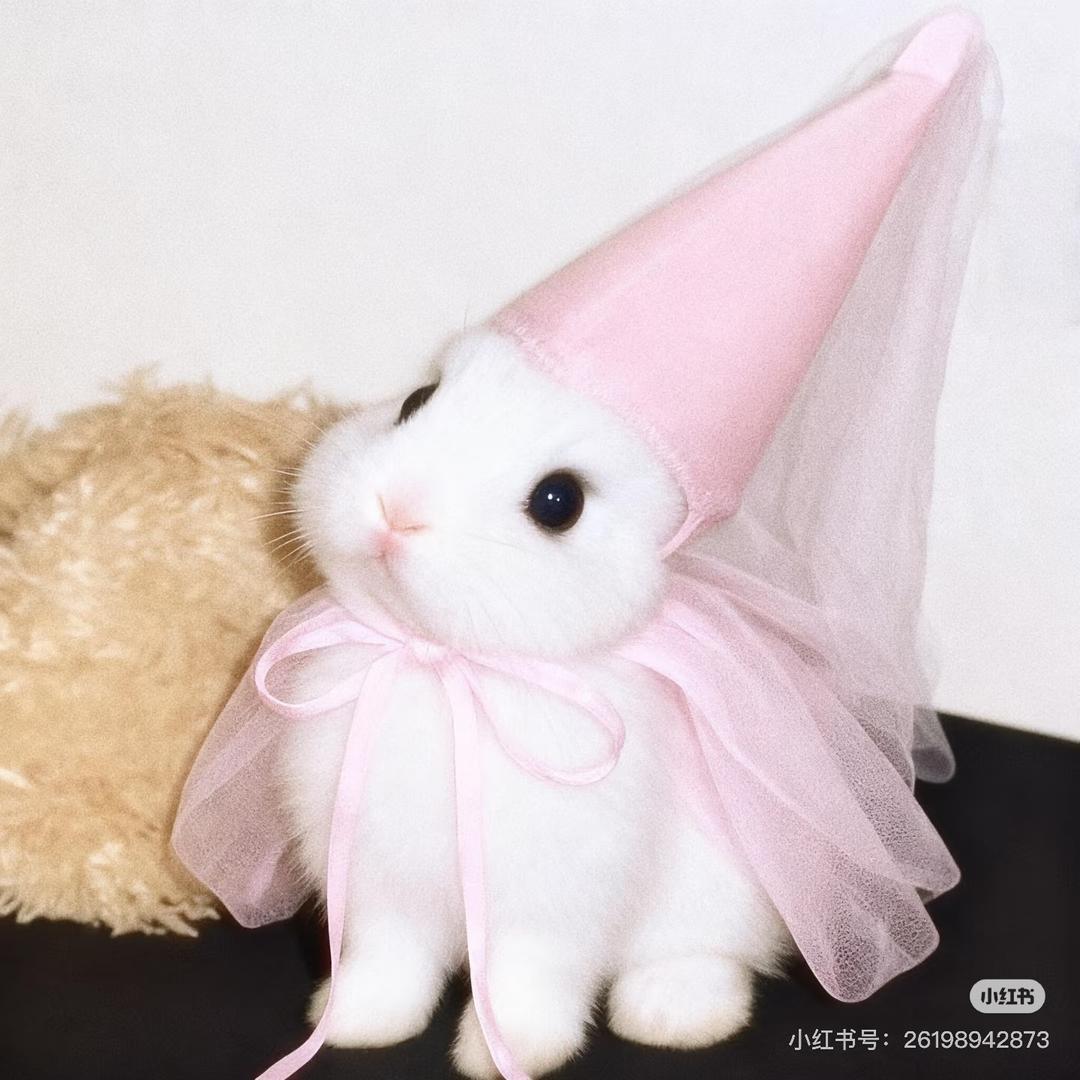 Ping zi 大人❤️‍🔥