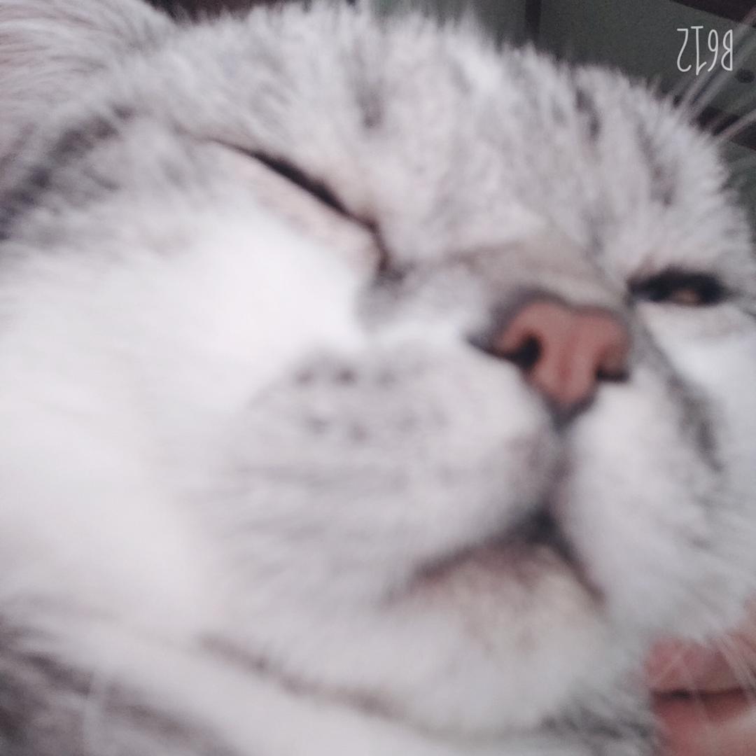 在大佬们都在装萌新时代的原地底土著居民甲