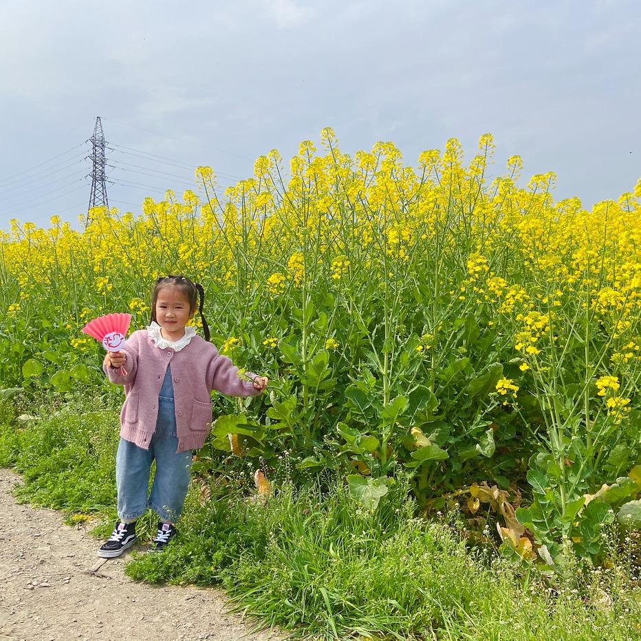 丶放縱的笑是我僅剩旳驕傲