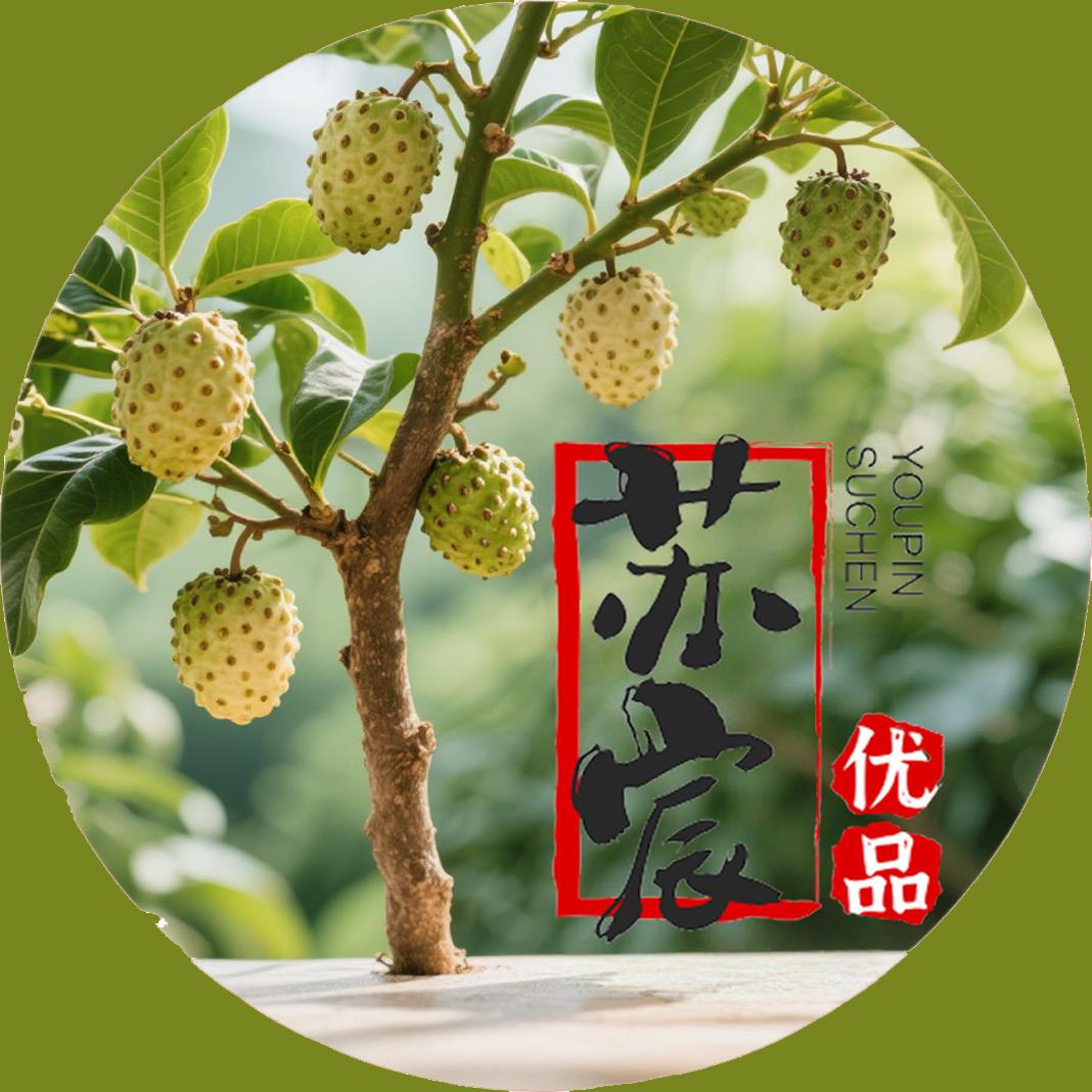 苏宸优品甄选店