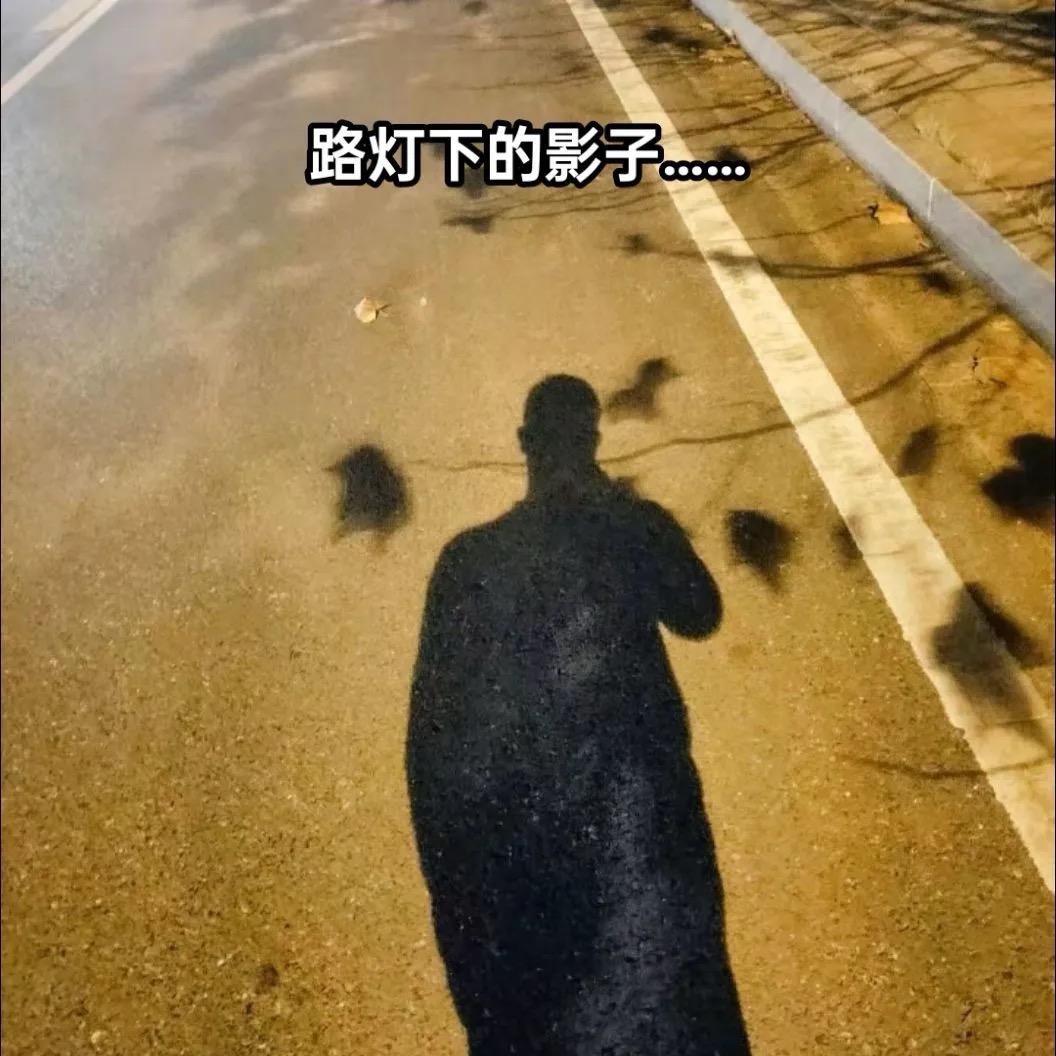 💗᭄余生ᝰᩚ随心ꦿ໌