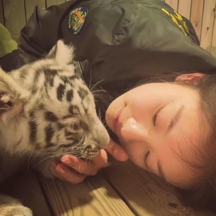 高冷李少