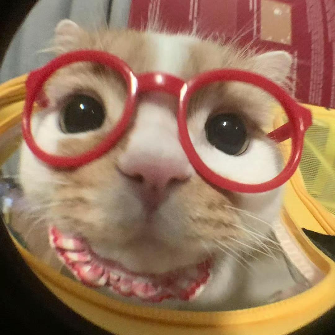 德玛西亚-