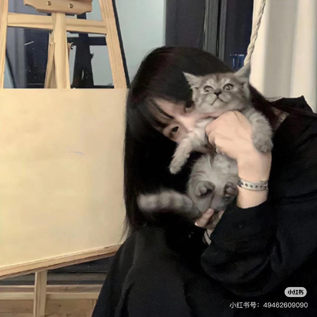汐屿