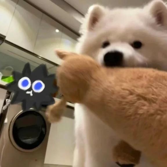 小刘同学👨‍🎓