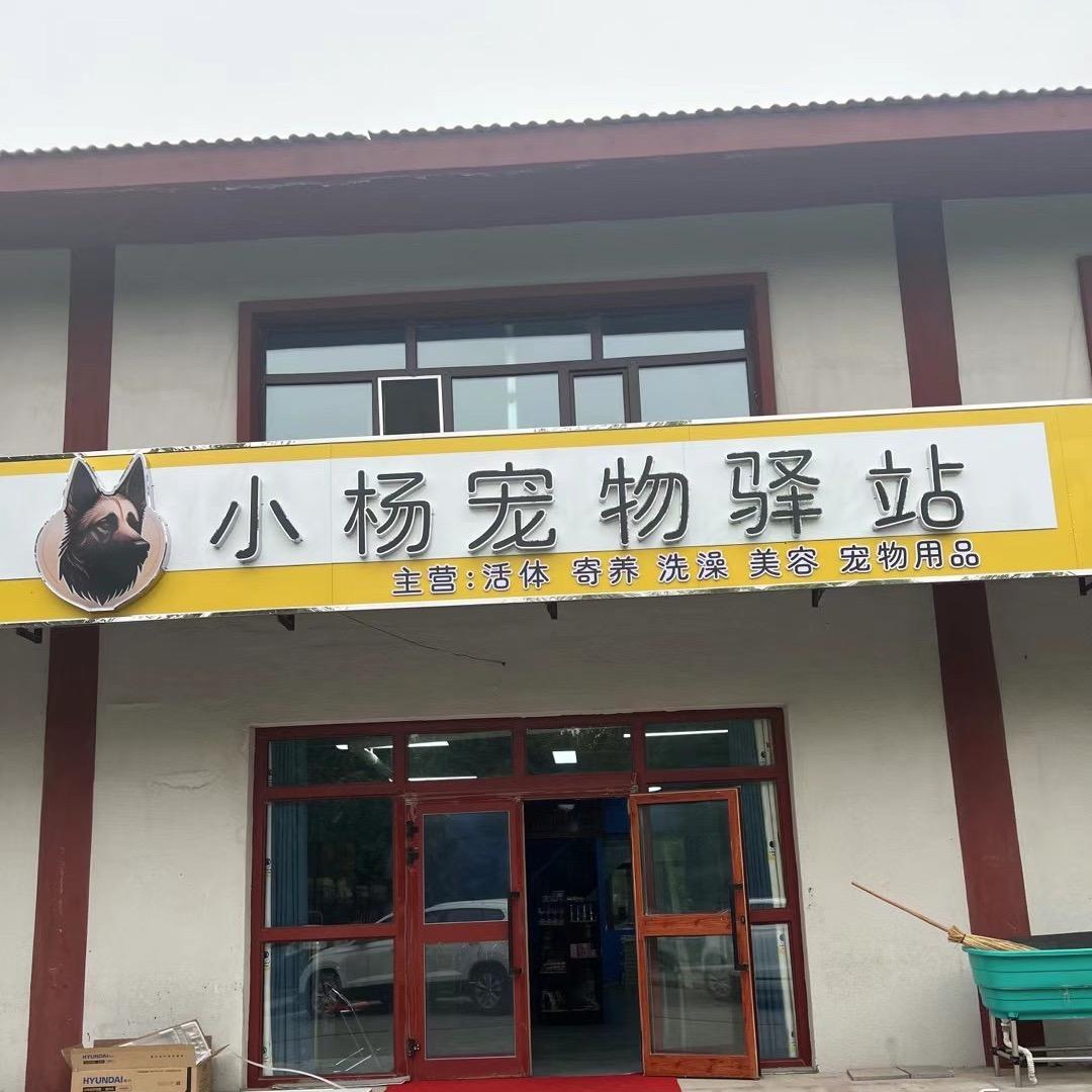 北屯小杨宠物驿站