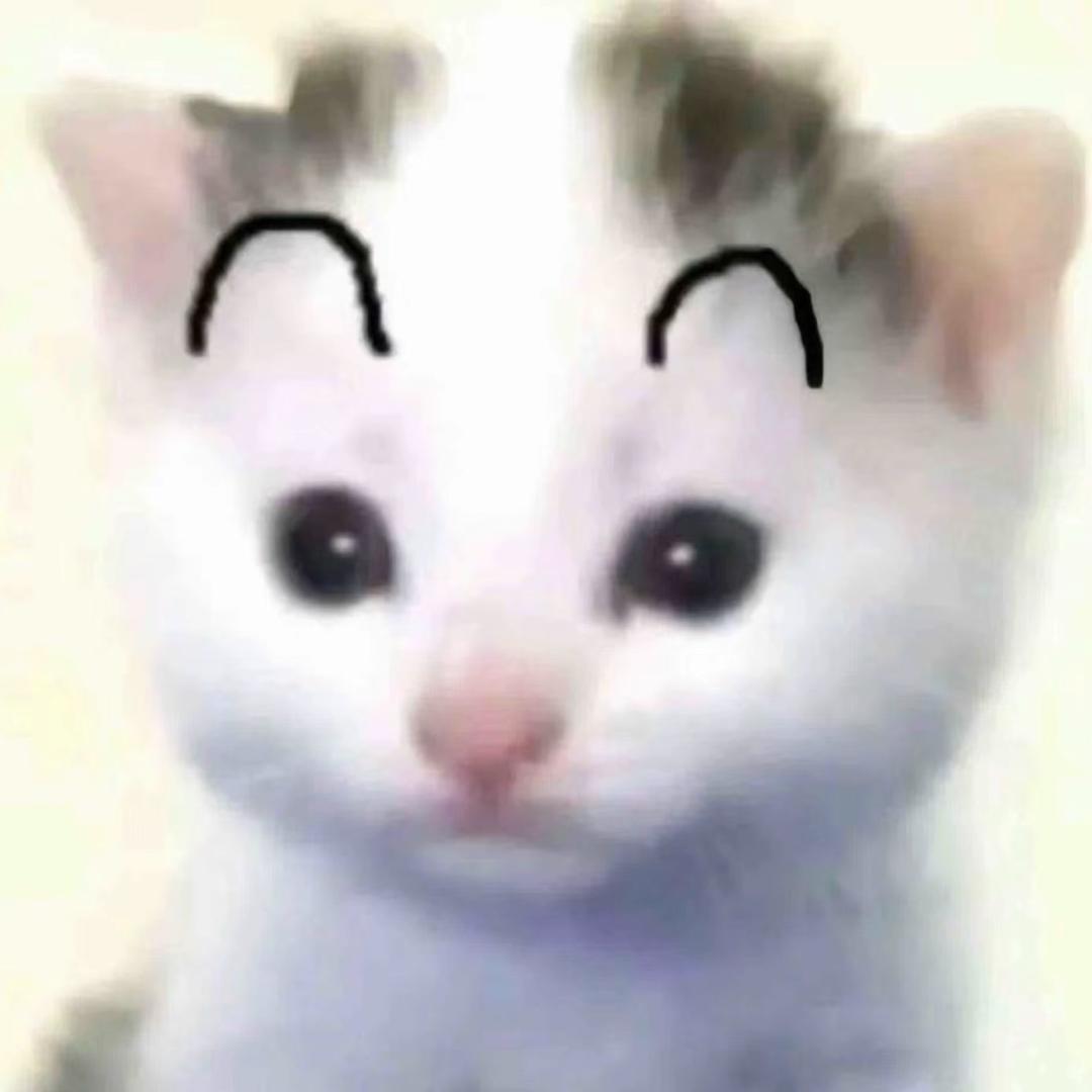 贱不死你