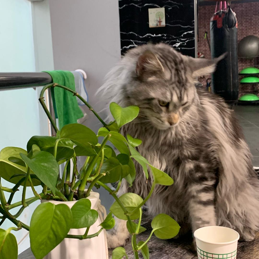 诺佰居空间设计｜王尧