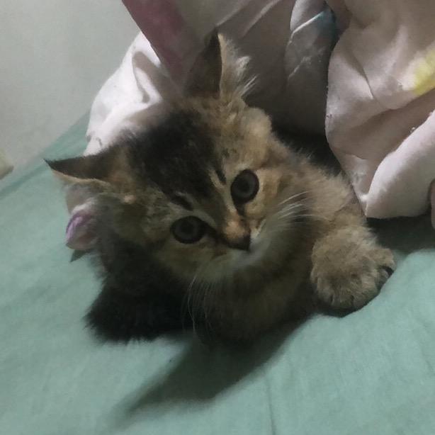 邦亮科技