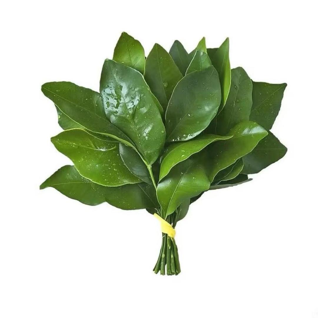刘亦菲