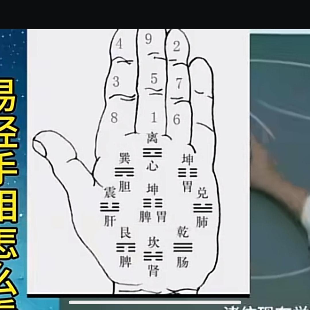 黄帝内经。私人定制