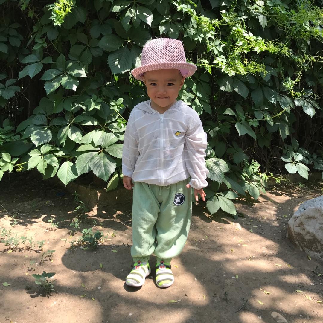 九叔的菜