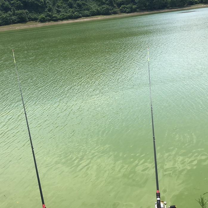 鱼 乐 老 刘