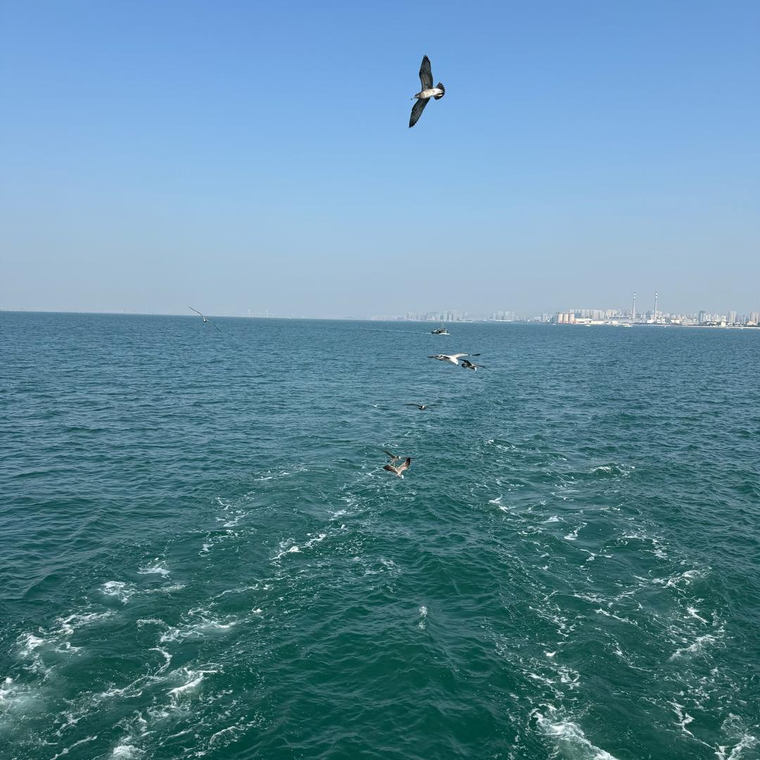 魔兽时光三联盟复仇战九小虎