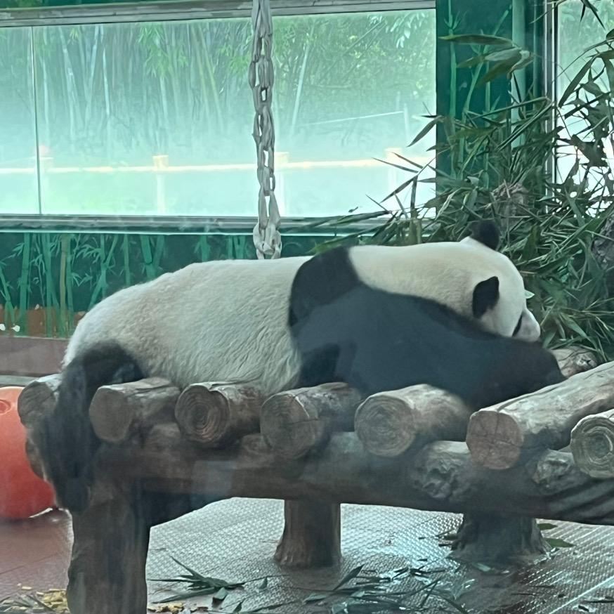 宴请年幼的自己