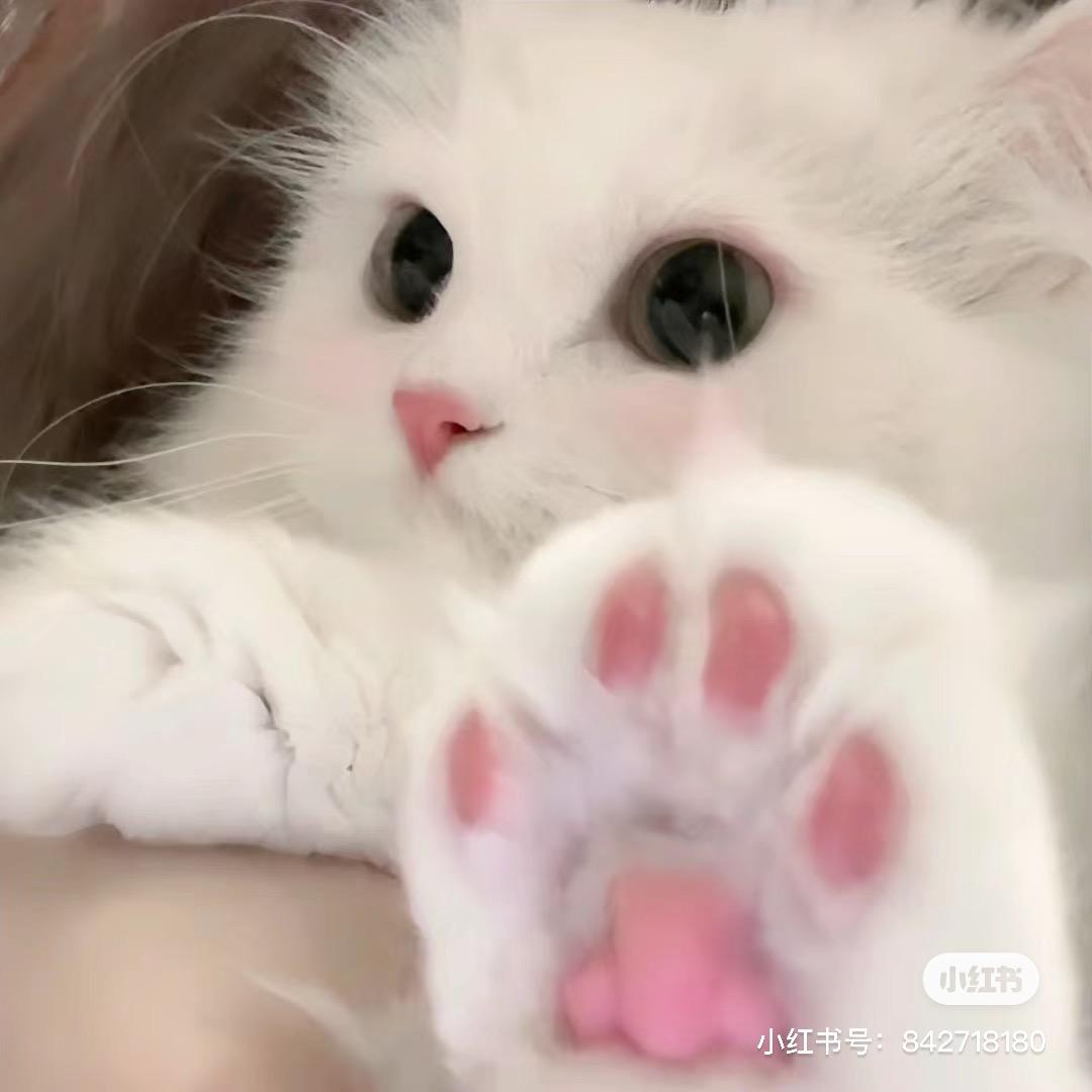 小葛又瘦了