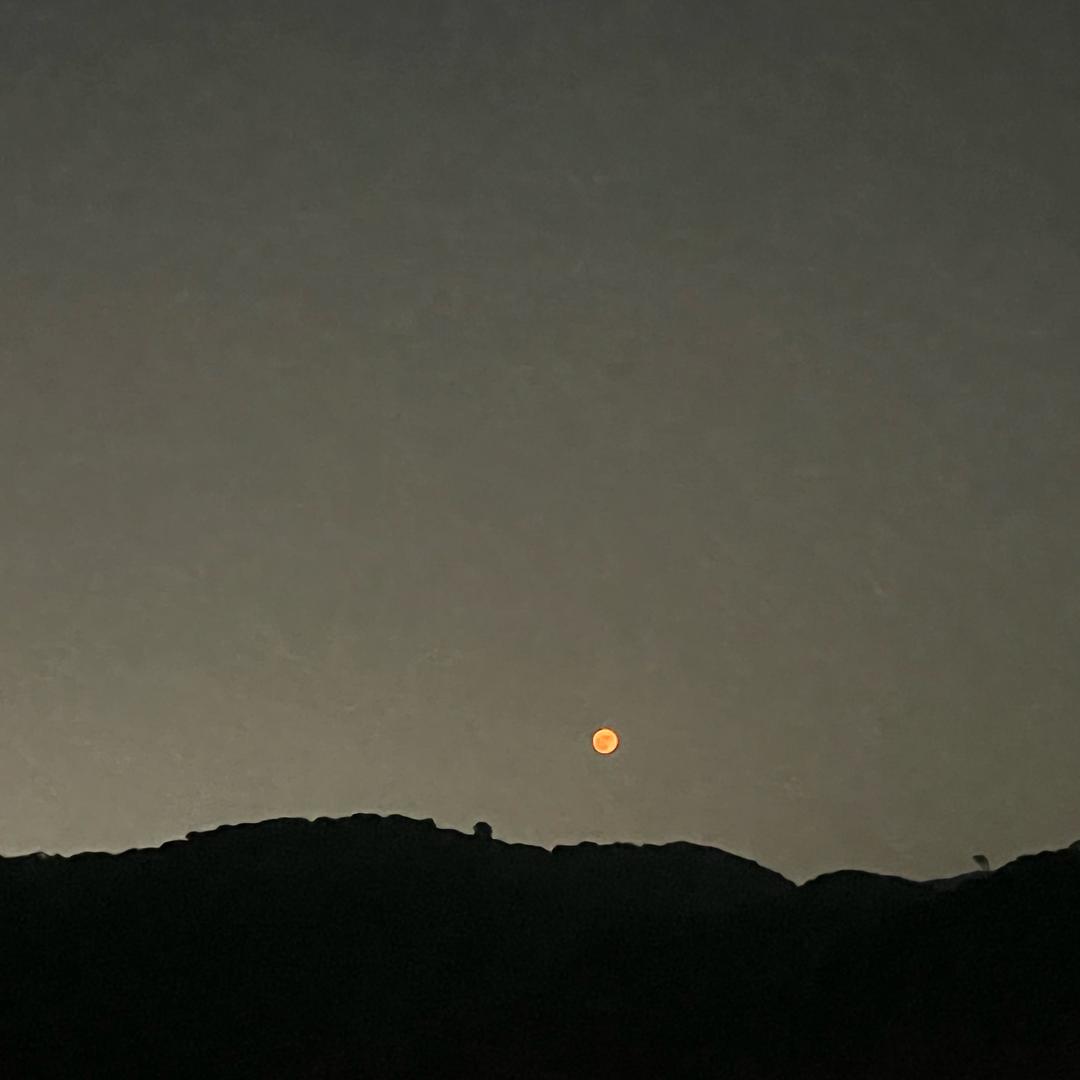 努力一切都会有的。加油吧，靠自己。