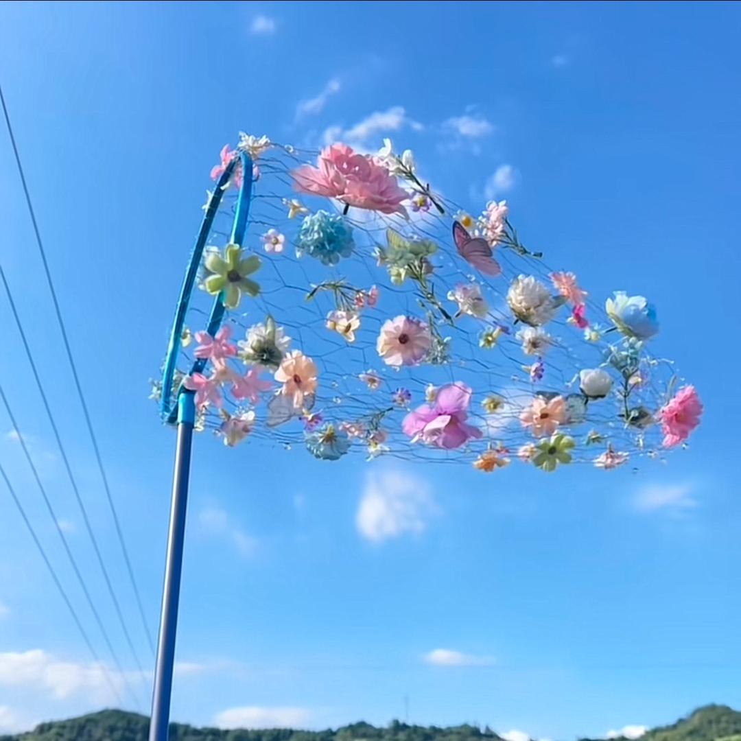 🦢幸运🦢