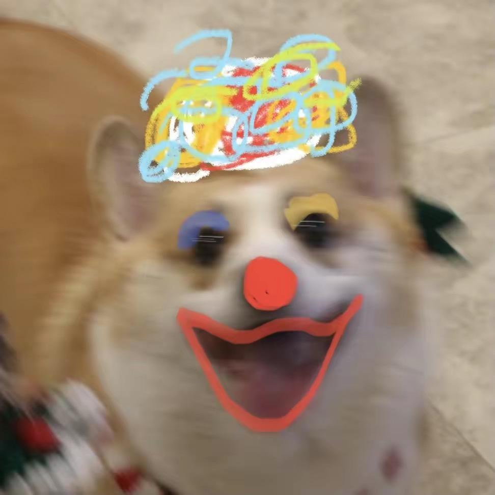 需要遛柯基的请联系我