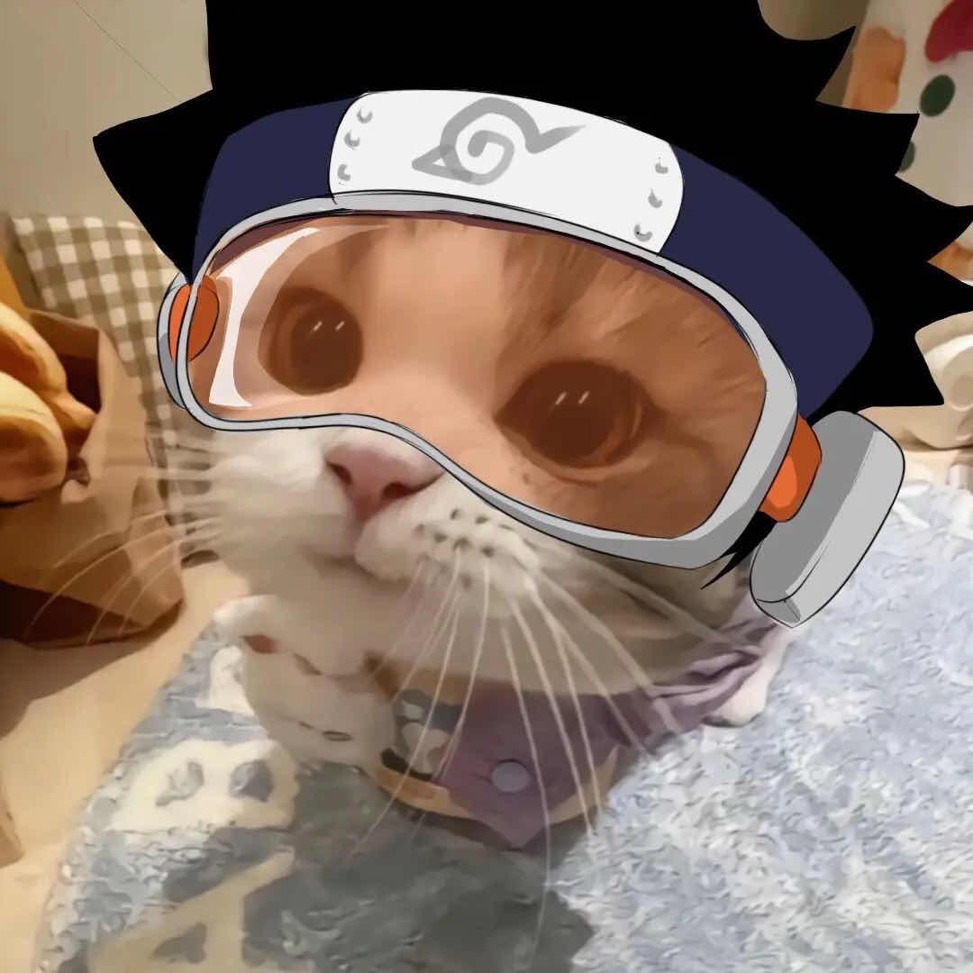 金