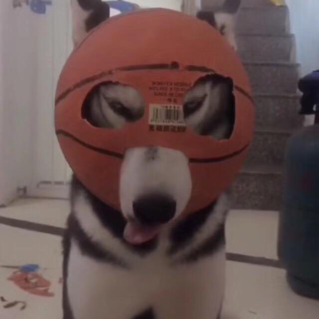 鸠噏乱太郎