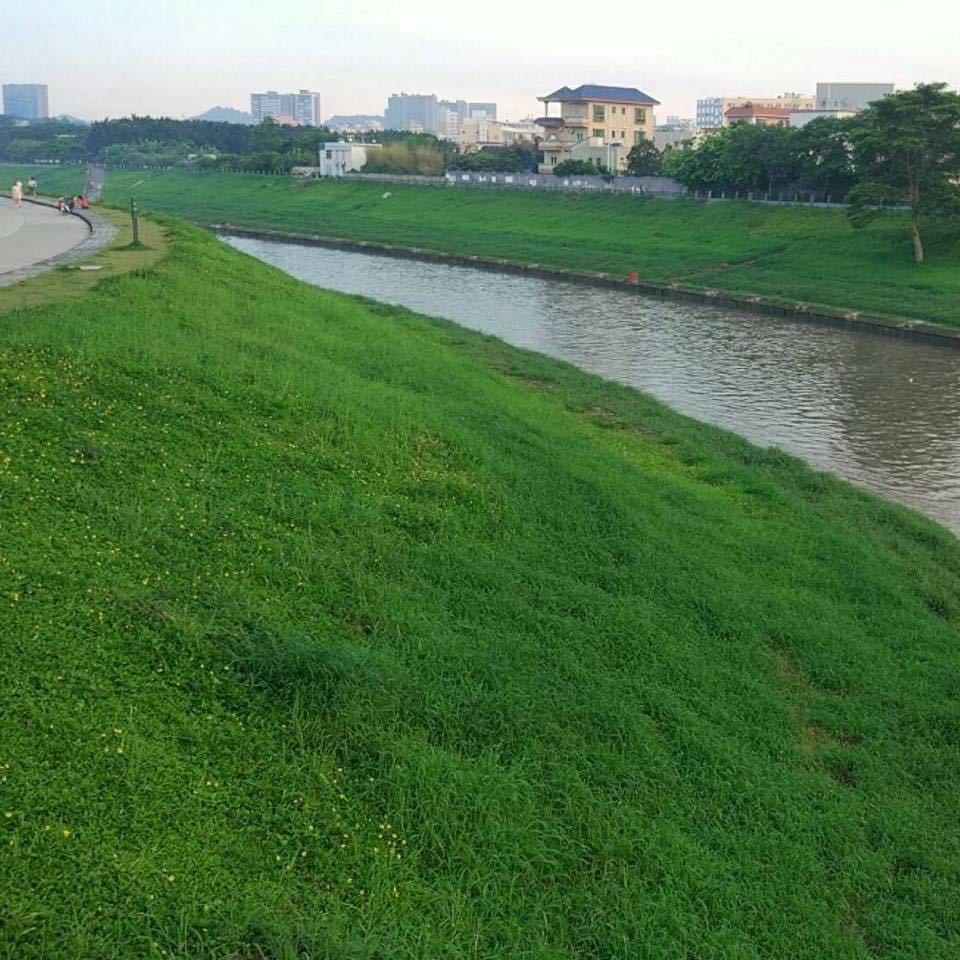 翁瓮嗡滃