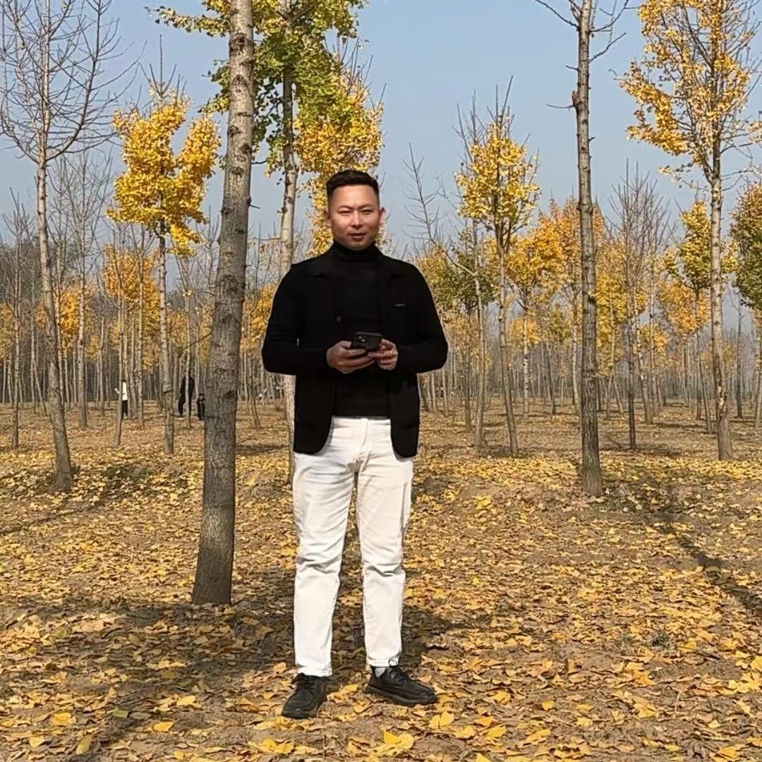 杨辉