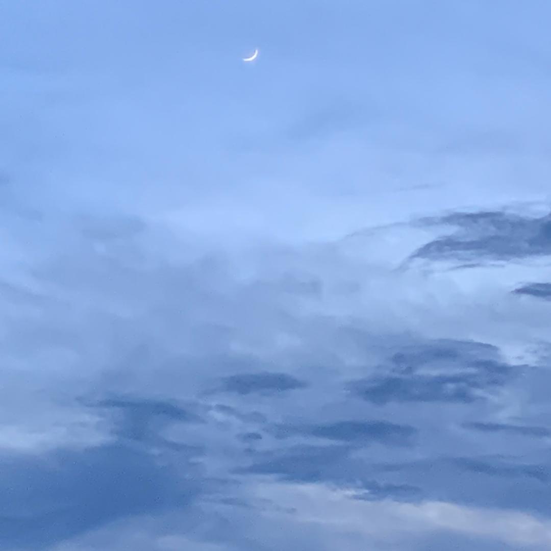 这鹰硕美电子商务