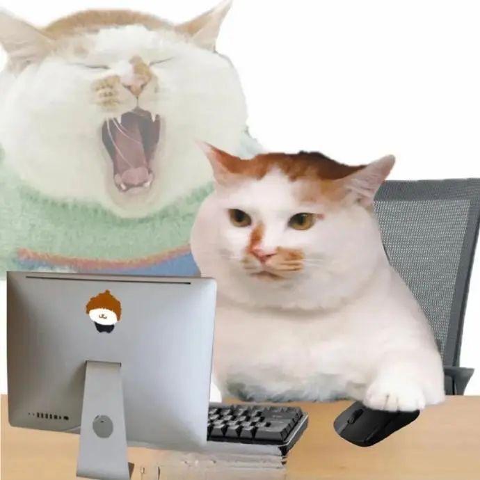 L..