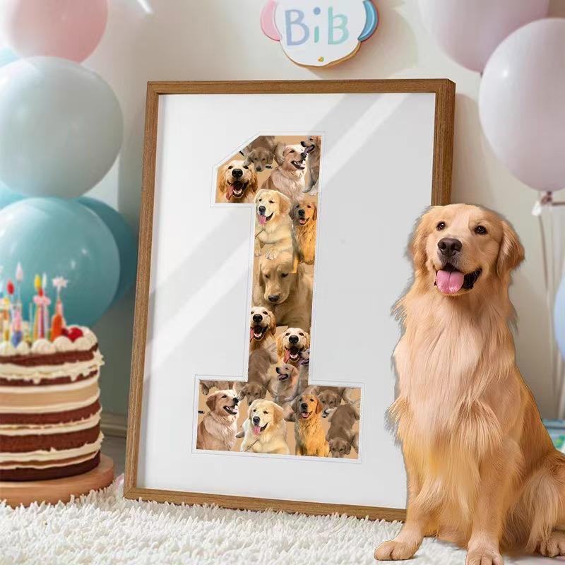 德牧黑狼东德马犬