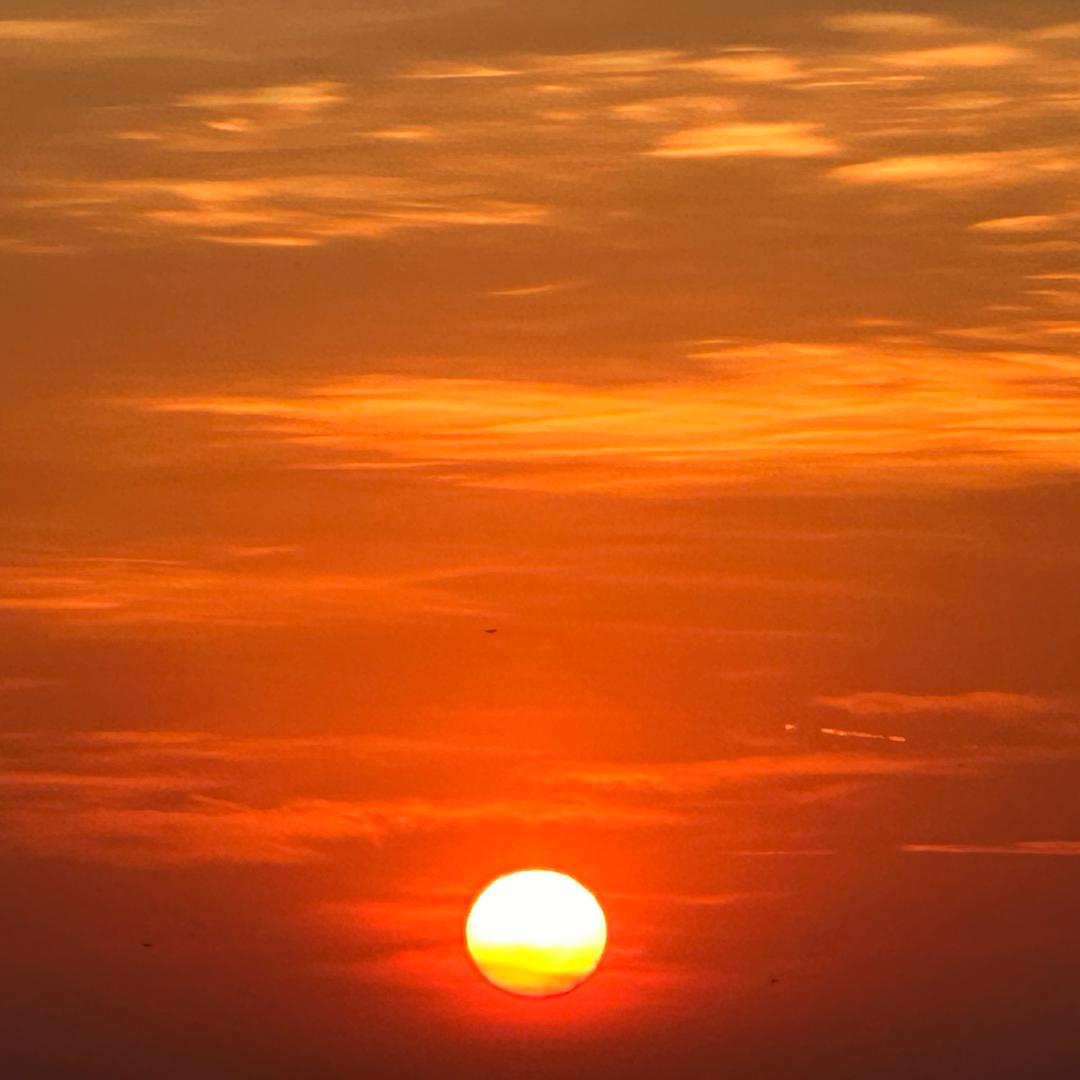 重生之发仔记在海陵岛