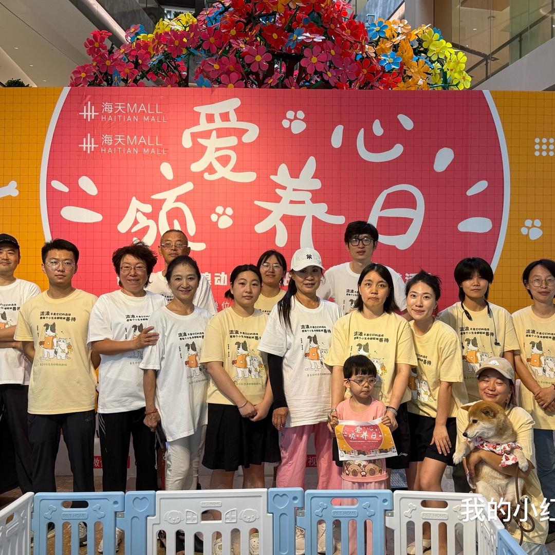 青岛玲玲流浪动物救护小院