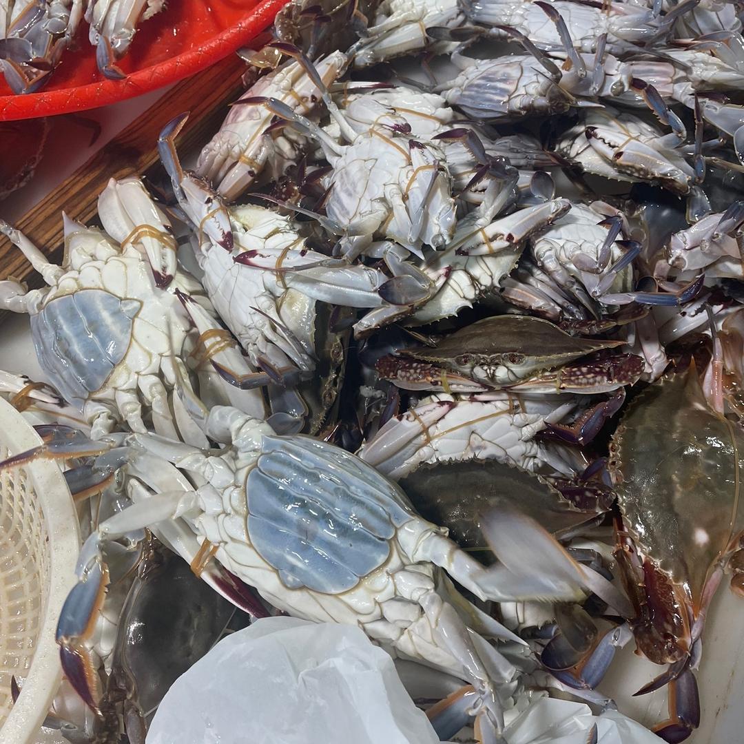 海边收鲜根水