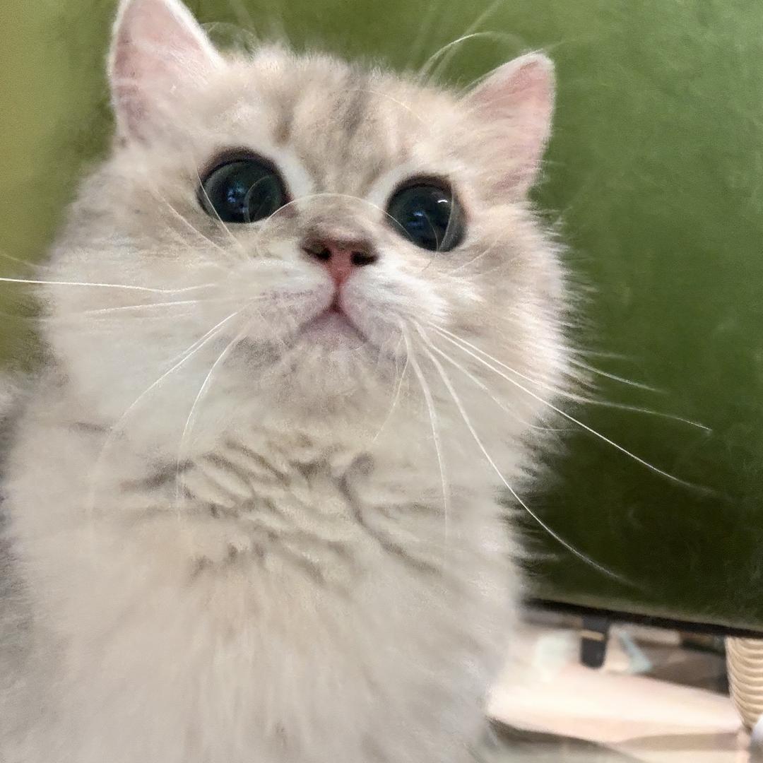 Jan
