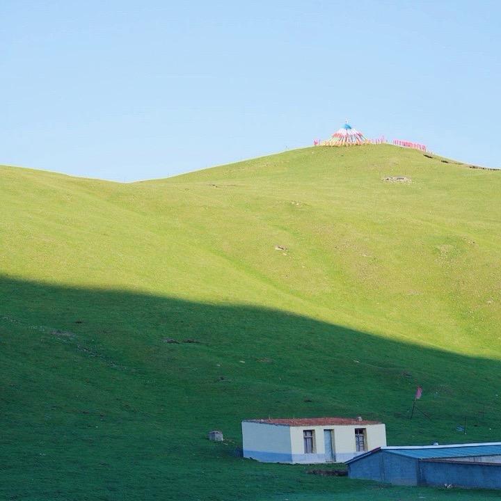 00牧场
