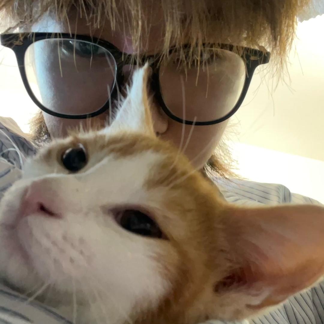 糕冷的茶叶蛋