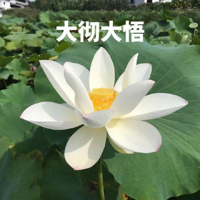 伊筱沫