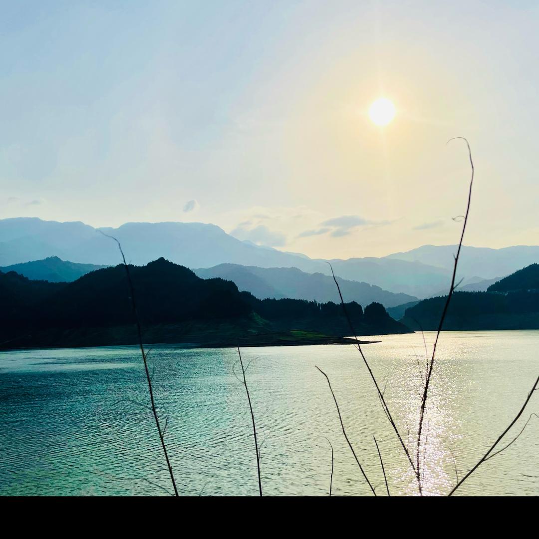 阿巴阿巴阿巴