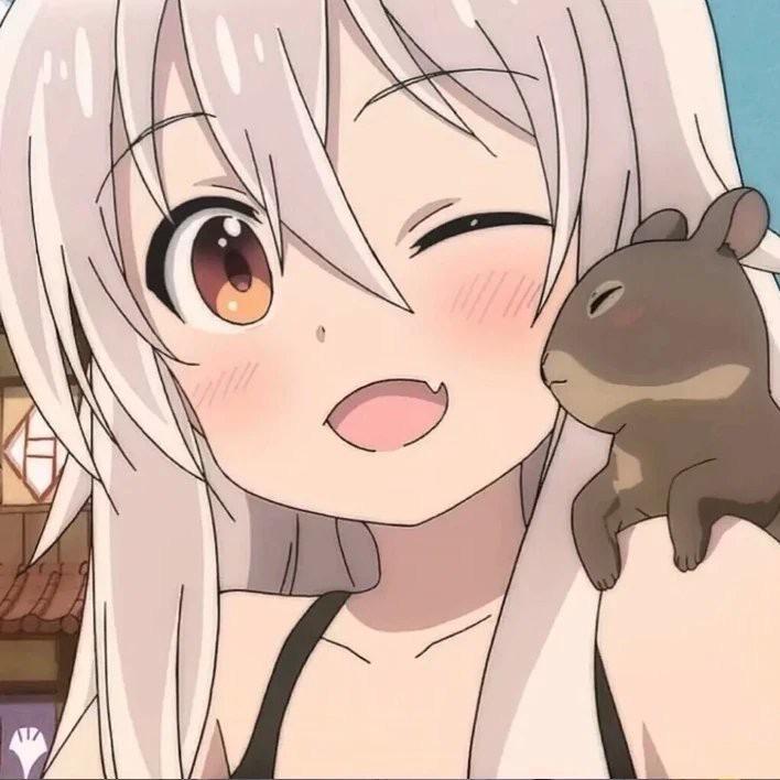 盈盈盈