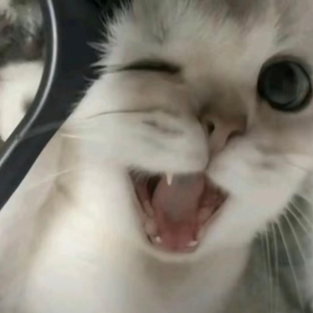黑色毛衣