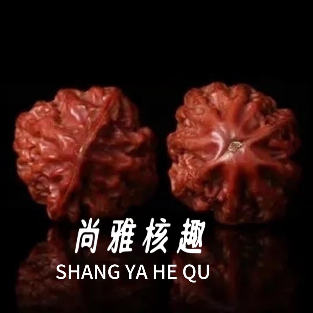 尚雅核趣小楸子野核桃