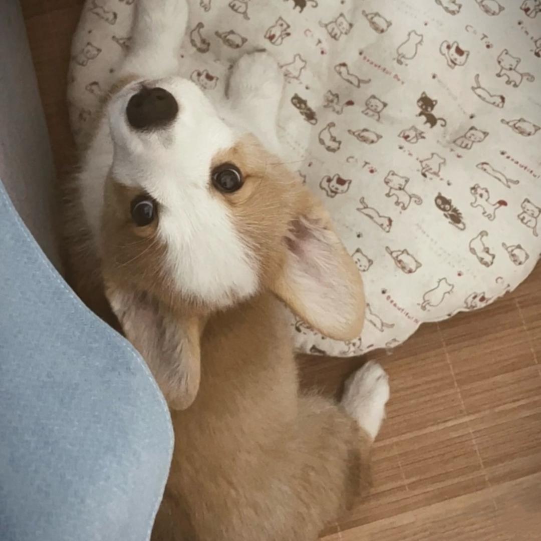 yy