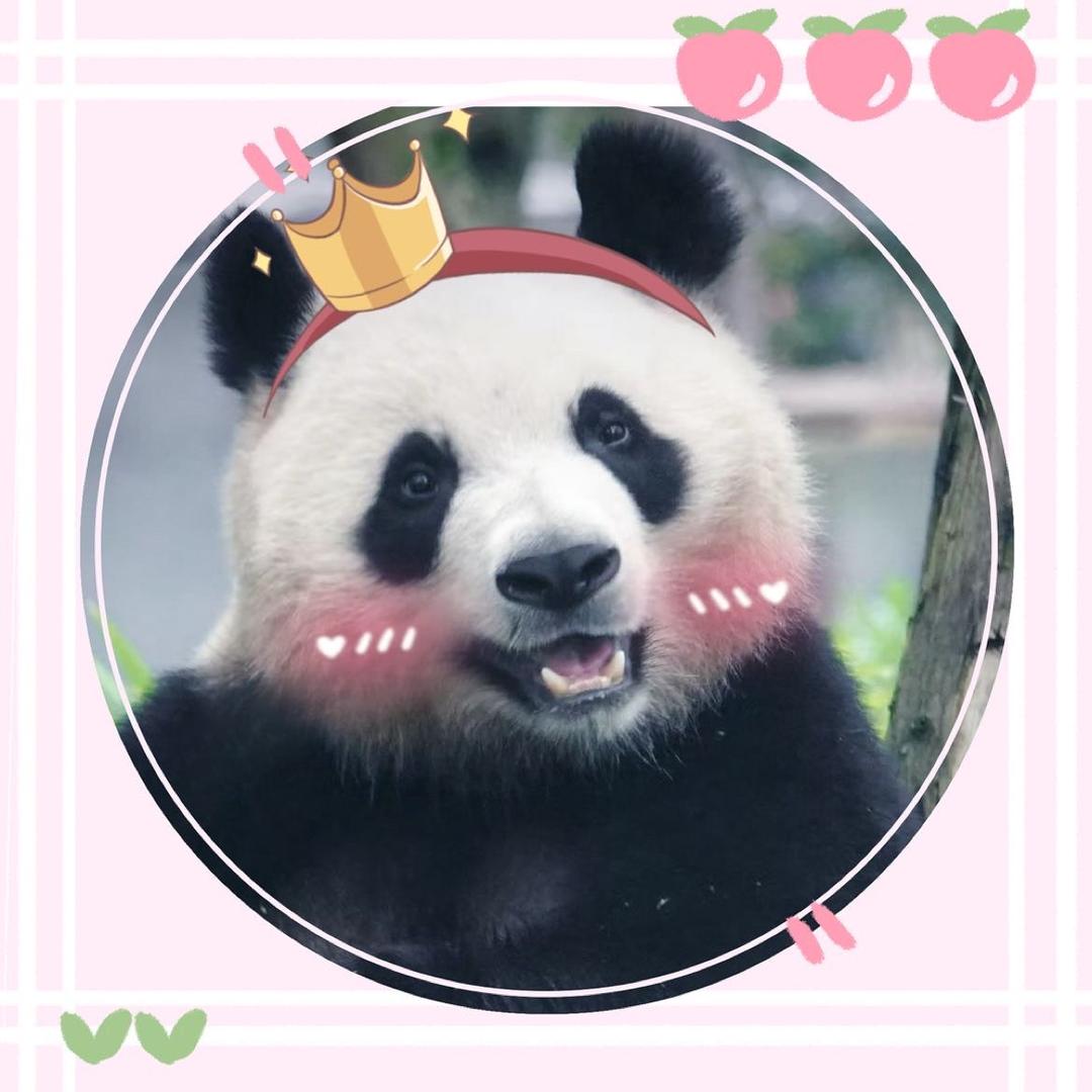 🐼梅子💕