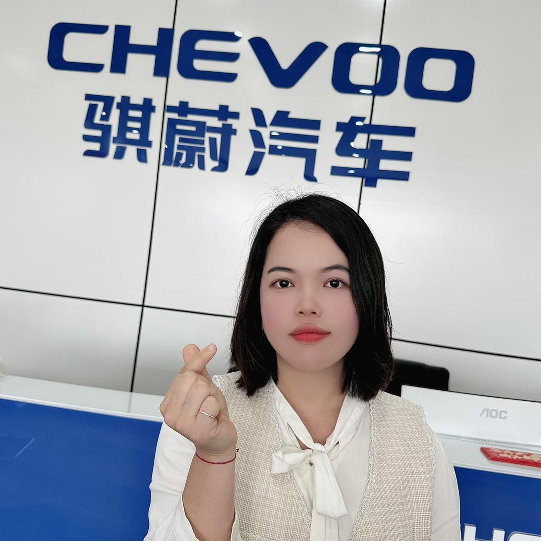 杨杨新能源货车