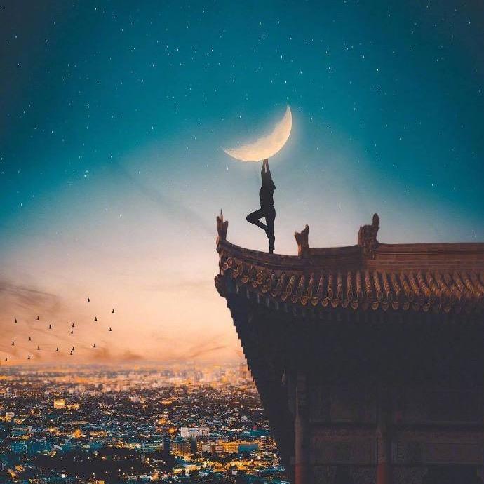 月下金狐