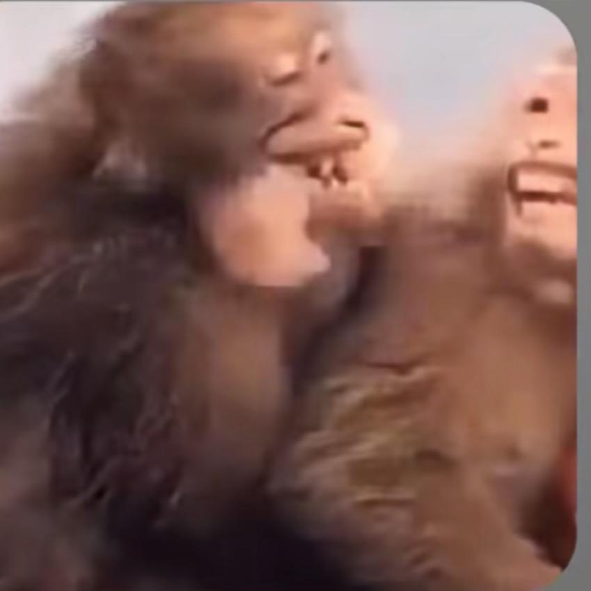 满山的猴子我腚最红.