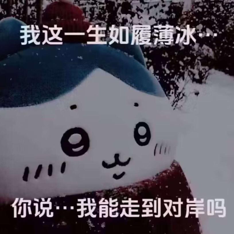 大能猫