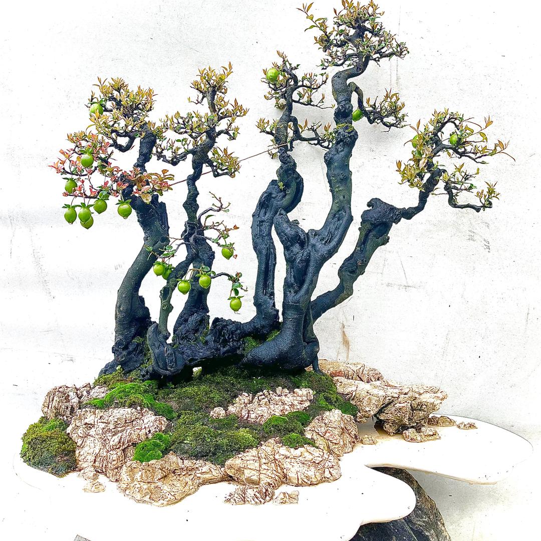 慧园大师兄金弹子
